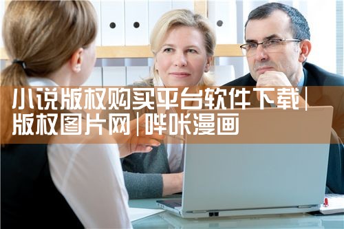 小说版权购买平台软件下载|哔咔漫画