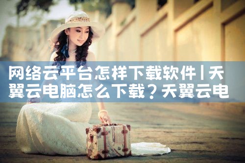 网络云平台怎样下载软件|P站专业版