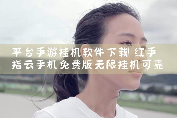 平台手游挂机软件下载|P站专业版