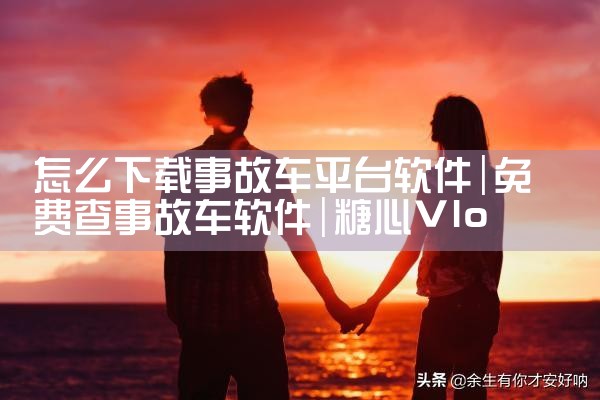 怎么下载事故车平台软件|糖心Vlog