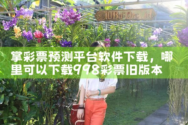 掌彩票预测平台软件下载|糖心Vlog