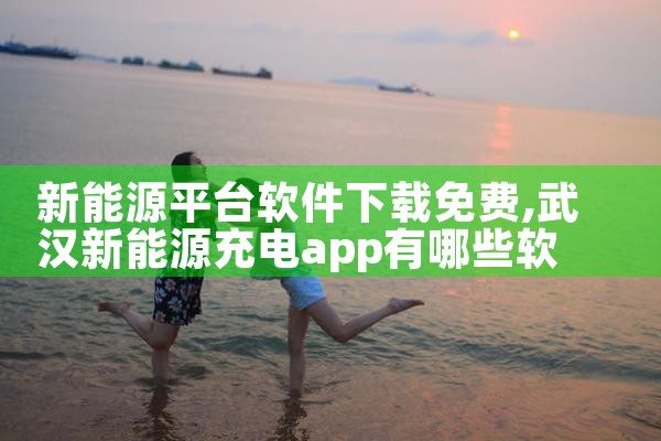新能源平台软件下载免费|MR好色