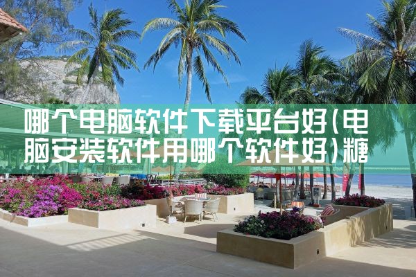 哪个电脑软件下载平台好|糖心Vlog
