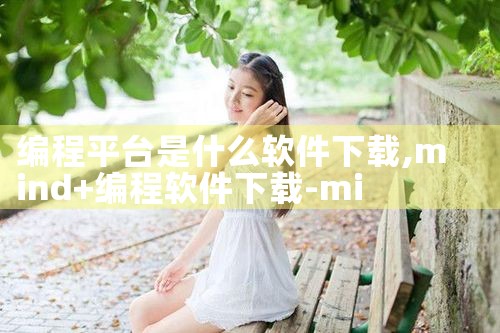 编程平台是什么软件下载|MR好色