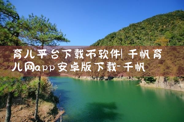 多平台授权软件如何下载|P站专业版