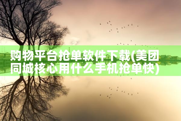 购物平台抢单软件下载|MR好色