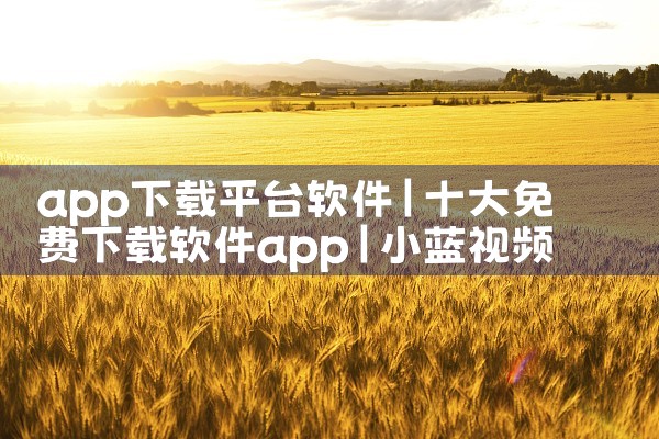 app下载平台软件|小蓝视频