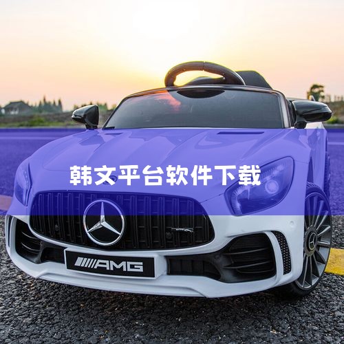 有韩文的聊天软件，例如Kakao Talk。Kakao Talk是一款功能强大的免费聊天软件，特别受到韩国用户的喜爱，同时也在全球范围内有一定的用户基础。以下是关于Kakao Talk的详细介绍：平台,小蓝视频