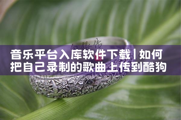 音乐平台入库软件下载|MR好色