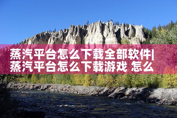 蒸汽平台怎么下载全部软件|P站专业版