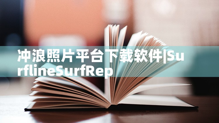 冲浪照片平台下载软件|P站专业版